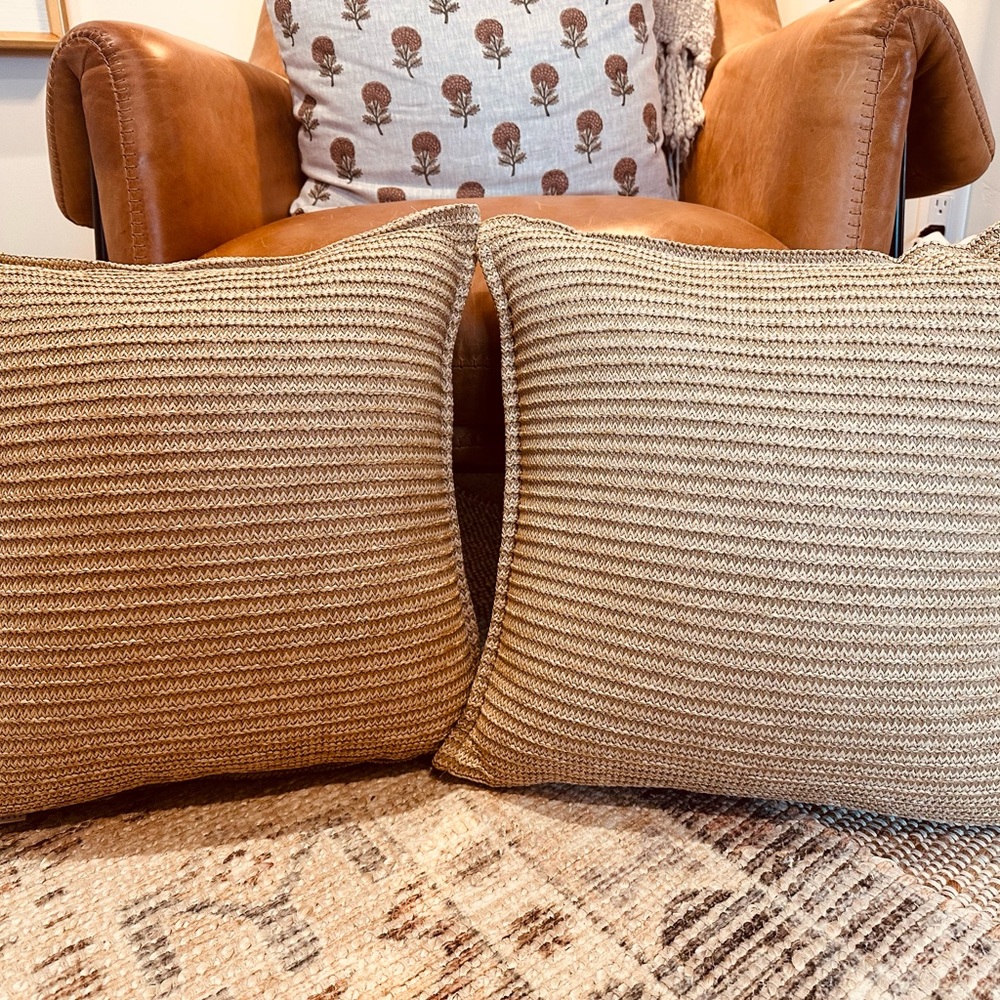 Two Pottery Barn Outdoor Pillows